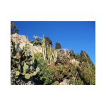 Jardin Exotique et Grottes de l'Observatoire